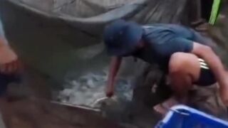 Tanpa alat ini kalian tidak mungkin bisa panen ikan lele
