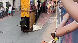 Toro CERRIL En Useras