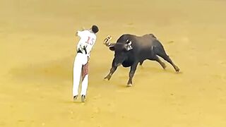 Recortes Toros