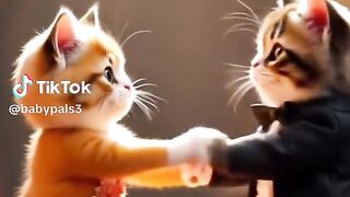 Meri Shadi Kr wao
