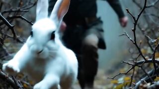 Rabbit clip.