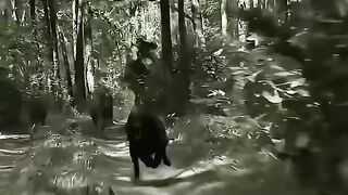 Watch the best movies