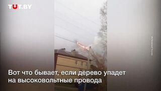 That's what happens if a tree falls on high-voltage wires