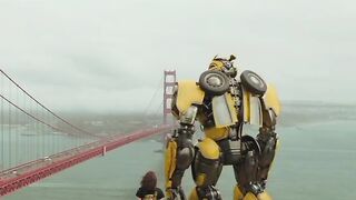 Bumblebee Transformation