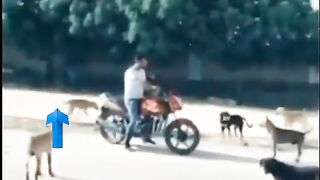 Funny ????????