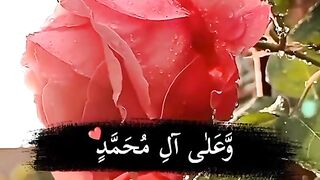 Best video