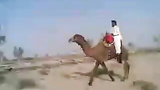 Music Balochi Video