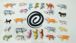 Animal Toys For Kids|Animals|Toys |Elephant Tiger