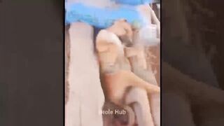 Funny dog video 2023 #shorts #viral #trending #dog #funnydog #funny #funnyvideo