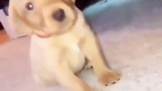 Nice video