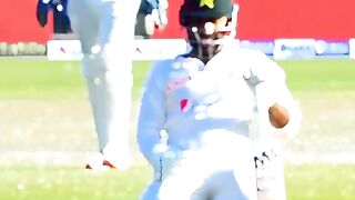 Cricket lovers