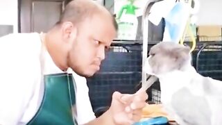 Nice funny video