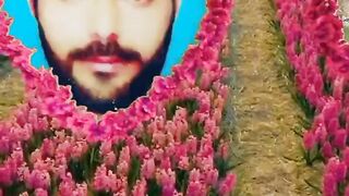 Waaah maza aa giya.....