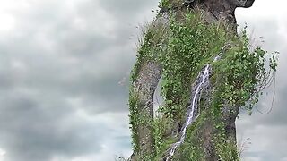 Best video
