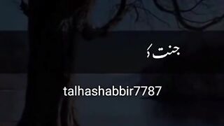 Best video
