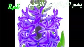 Quran