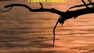 Best video