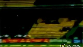 Cricket short