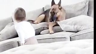 Baby and dog