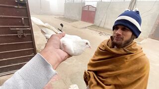 Hamari White Ducks Bhi A Gaen????