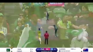 Best cover drives compilation|Best cover drives|