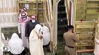 Riazuljannah