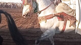 A party of customs and traditions (horses)