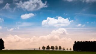 Beauty Of Nature