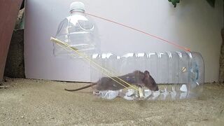 Water bottle Mouse_Rat Trap