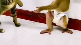noornour220-1743291550511mp4
