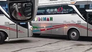 Bus Budiman