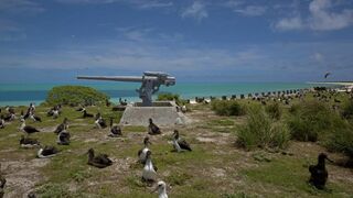 Midway Atoll is home to two million birds