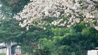 My country village