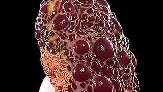 Fruits That Will Clean Your Kidneys Fast