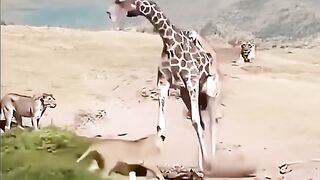 mediatsocial 1743344040492.mp4