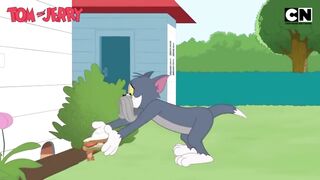 Tom and Jerry