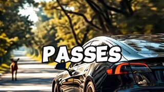 What Happens If Driver Passes Out？ #shorts