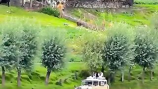 S swat