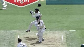 Superman Catches - Glenn Phillips The World's Best Fielder