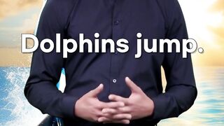 Dolphin jump