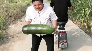 Funny  video  0005 17433768511