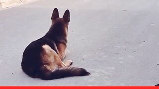 Fatimazahra 119 1743344224967.mp4