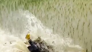 Chinese funny video