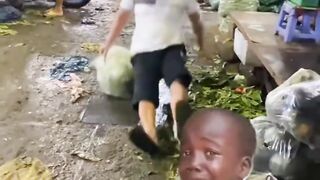 Deepdiperssion 1743258263282 2mp4