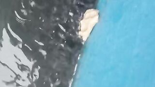 Liburan boleh, tapi jangan lupakan ikan lele dikolam, mereka butuh makan