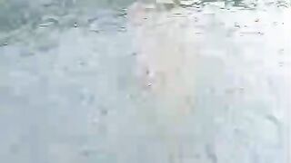 Liburan boleh, tapi ikan lele gak boleh libur makan
