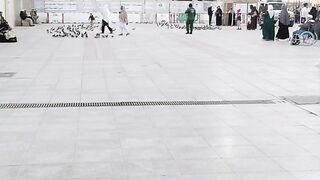 Madina