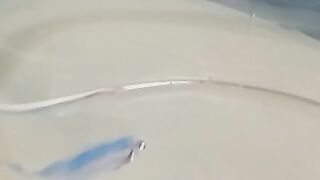 IKAN HIAS DI MEJA RESEPSIONIS