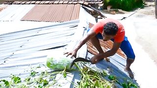 Histoire.91 1743515553869.mp4