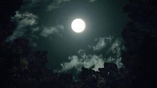 Kimetsu no Yaiba Episode 18